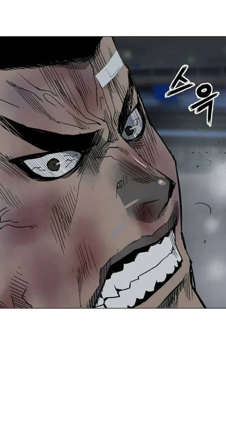 Chapter 244