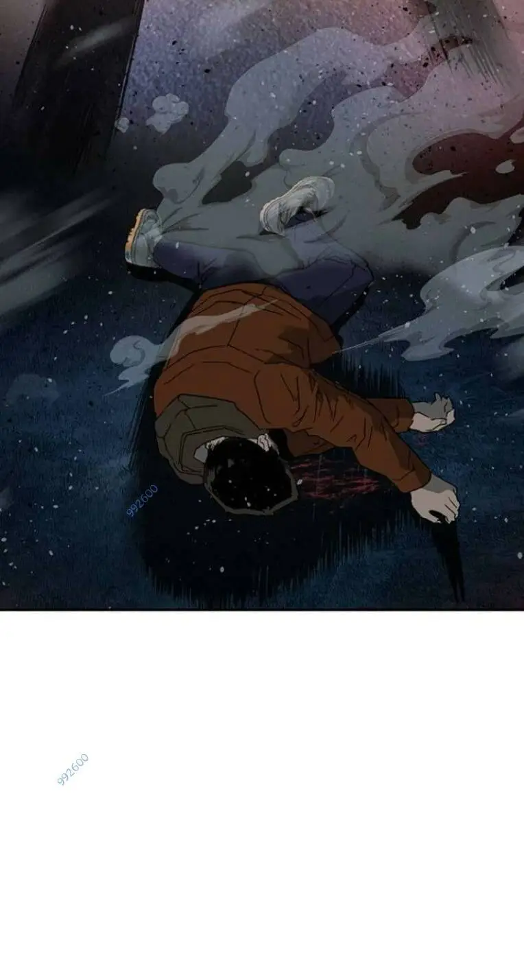 Chapter 244