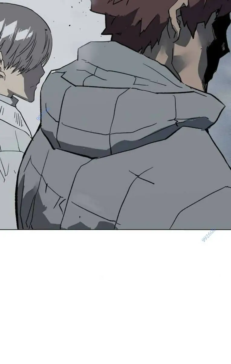 Chapter 244