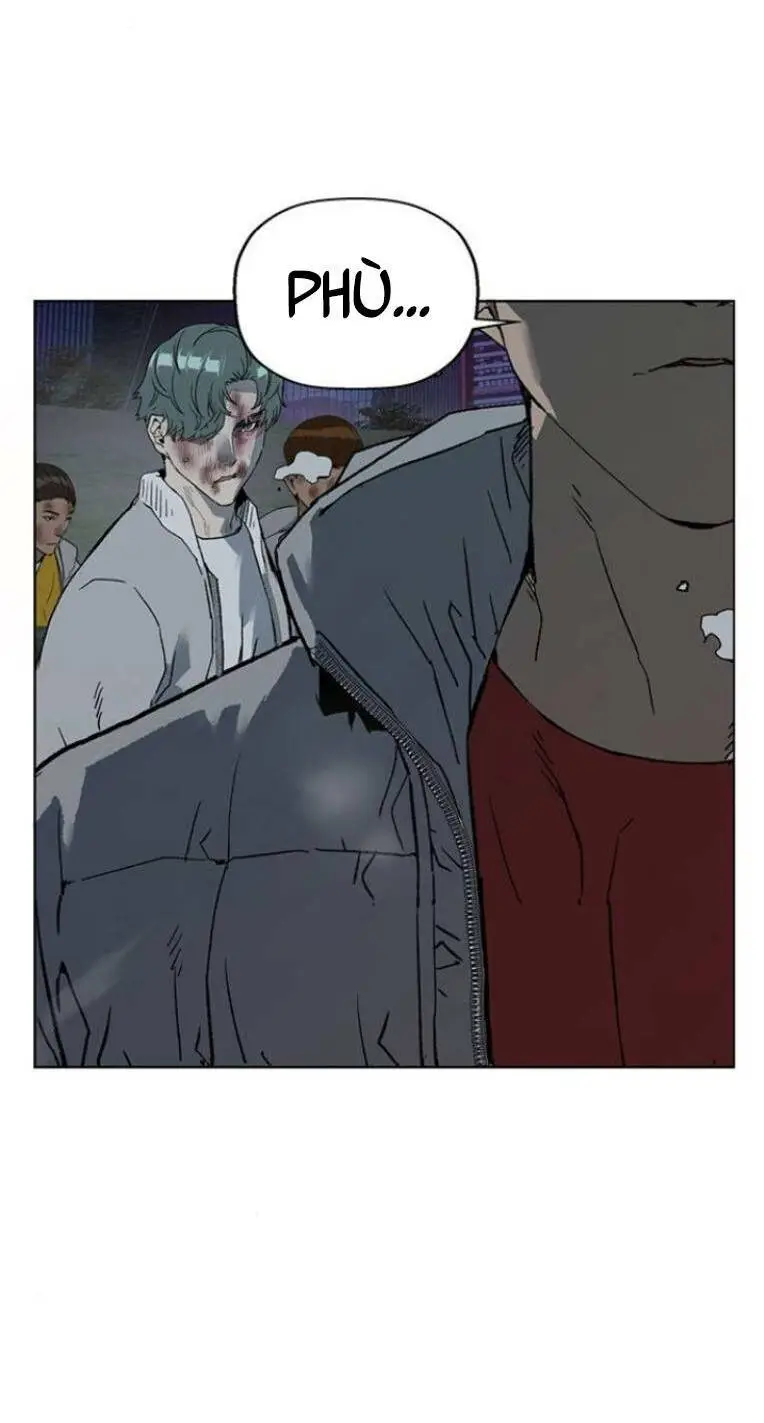 Chapter 244