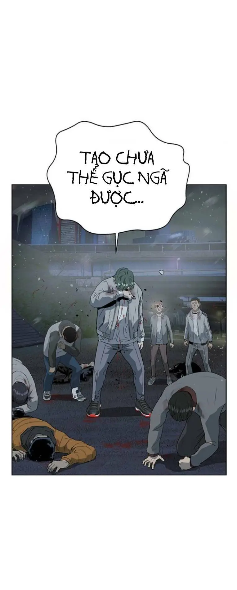 Chapter 244