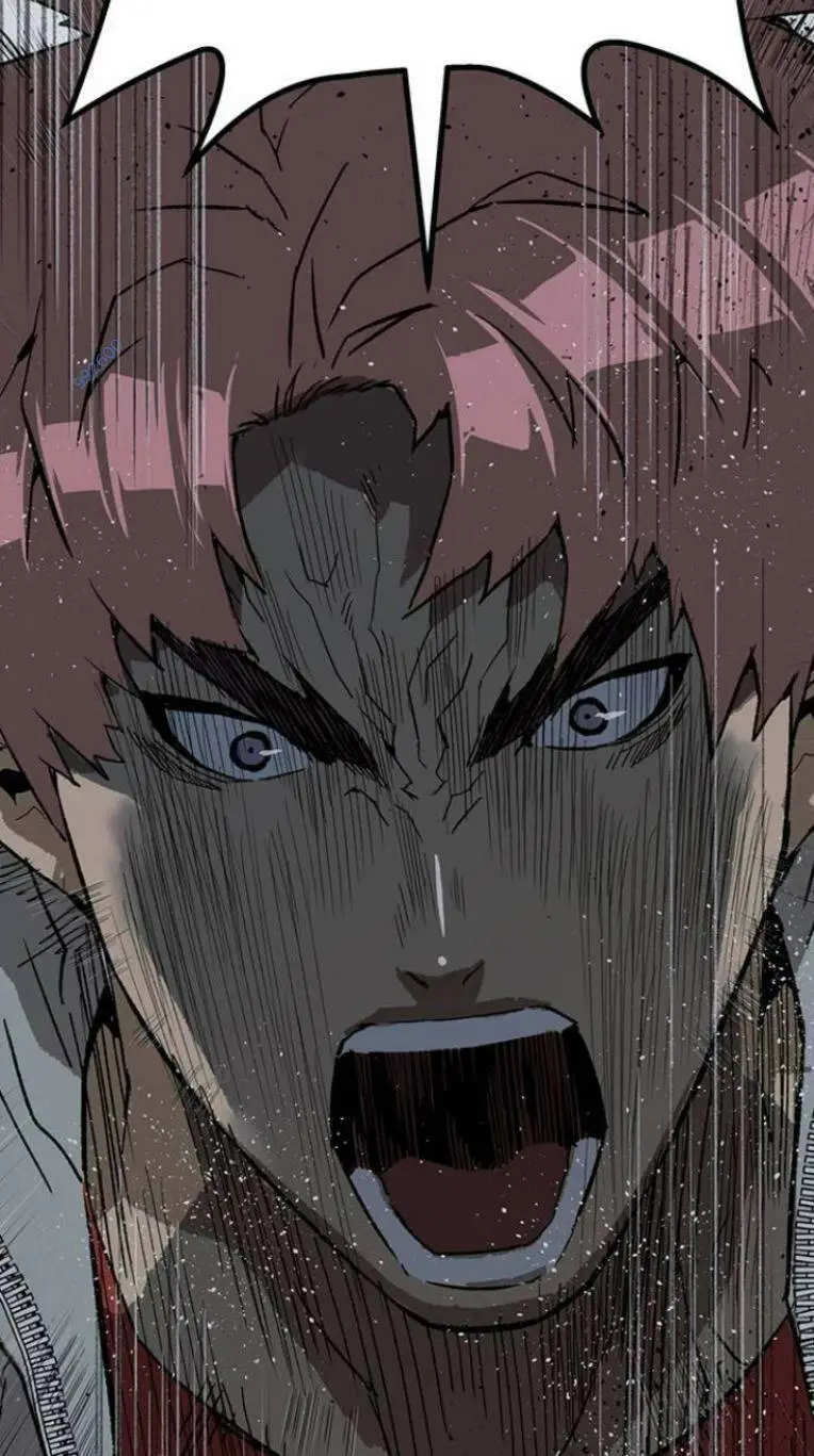 Chapter 244