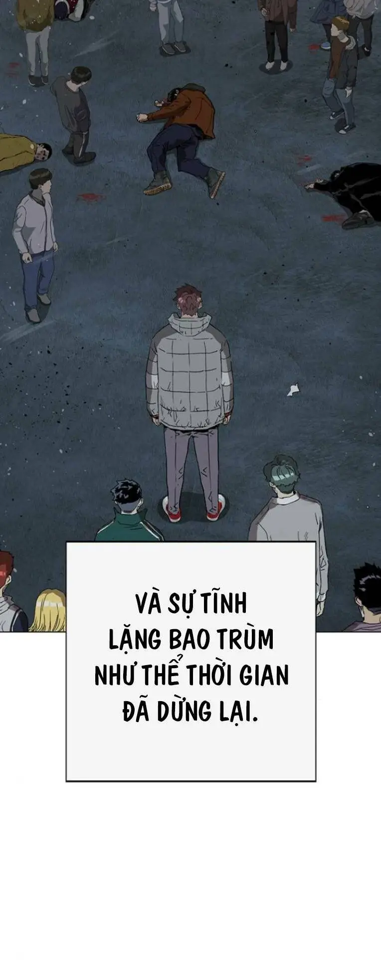 Chapter 244