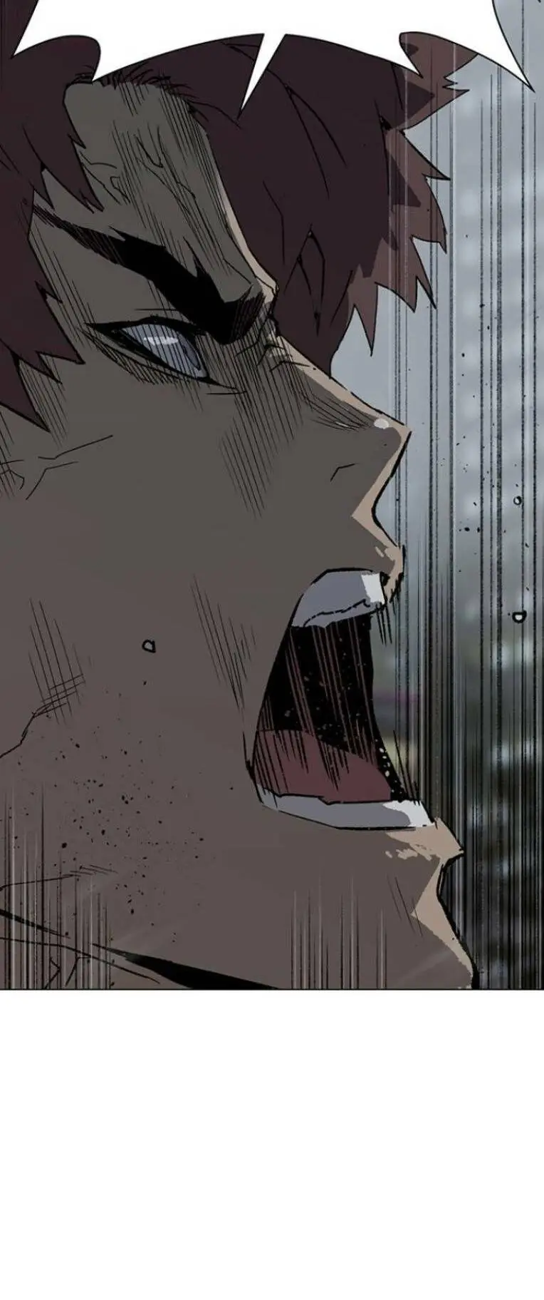 Chapter 244