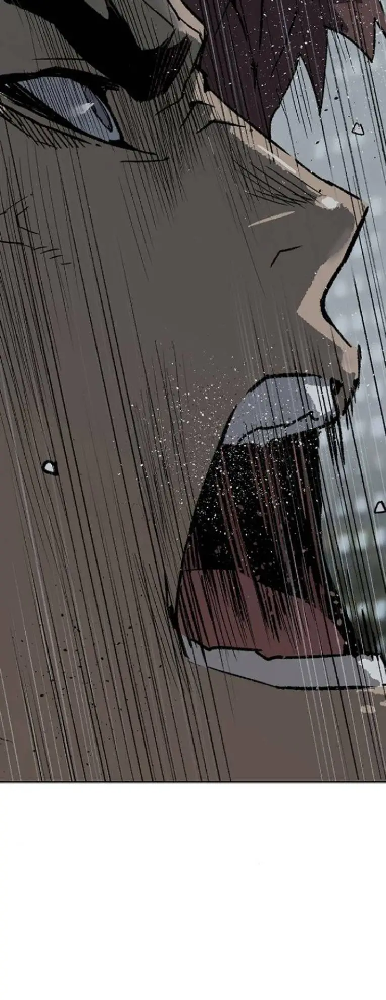 Chapter 244