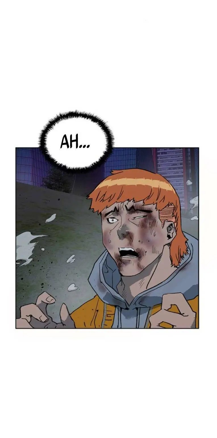 Chapter 243