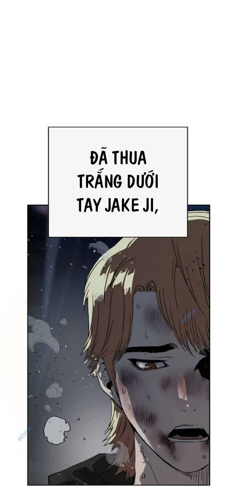Chapter 243