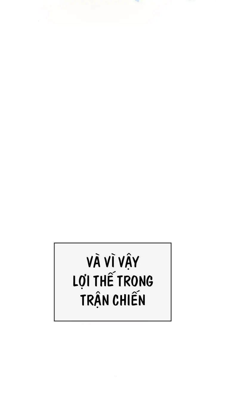 Chapter 243