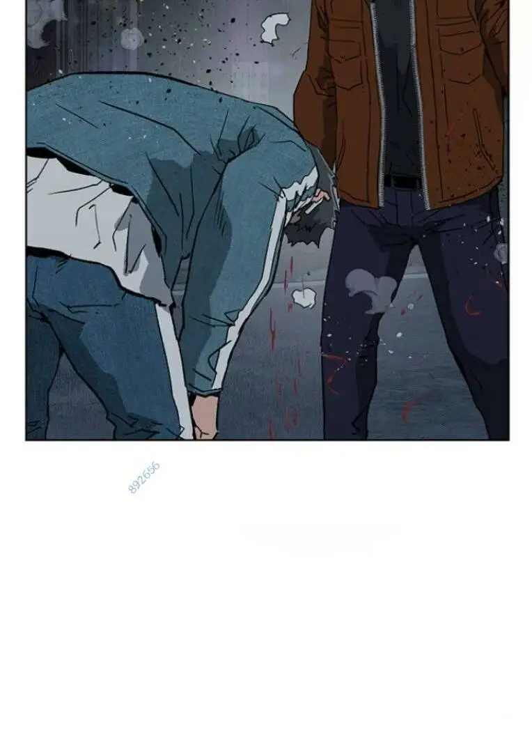 Chapter 243