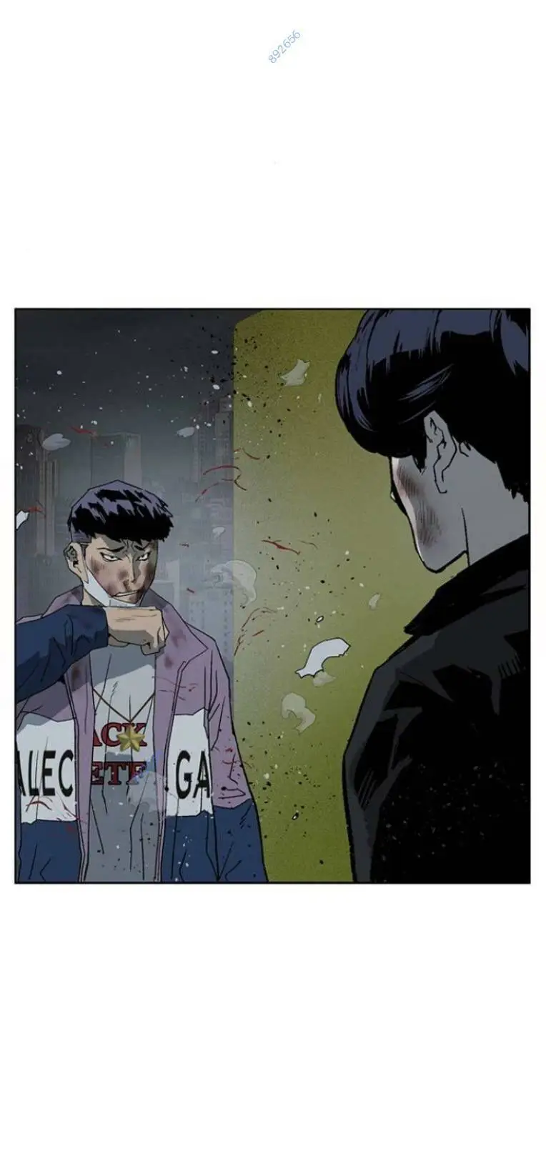 Chapter 243