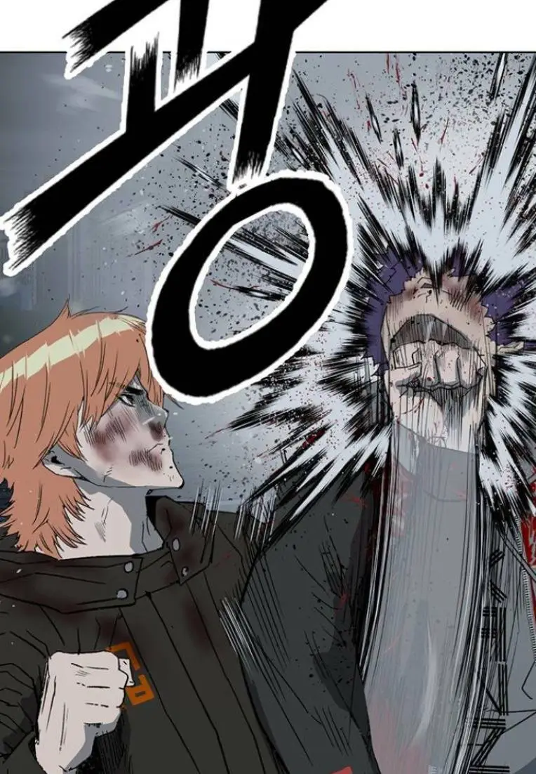 Chapter 243
