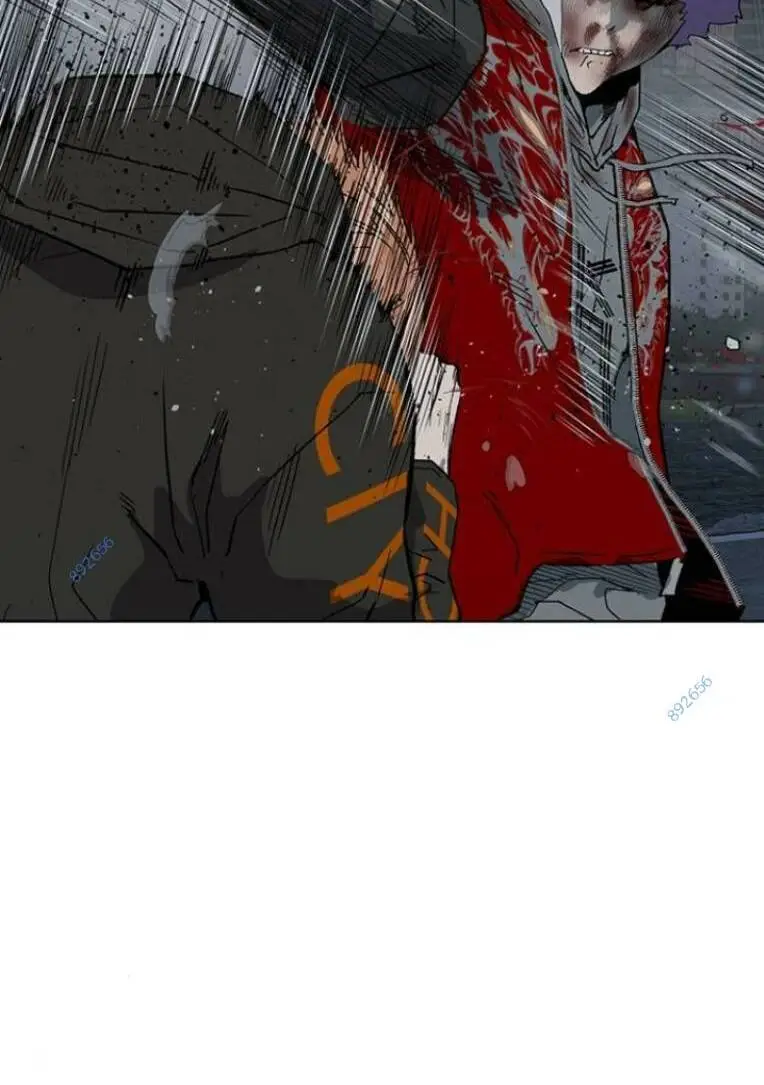 Chapter 243