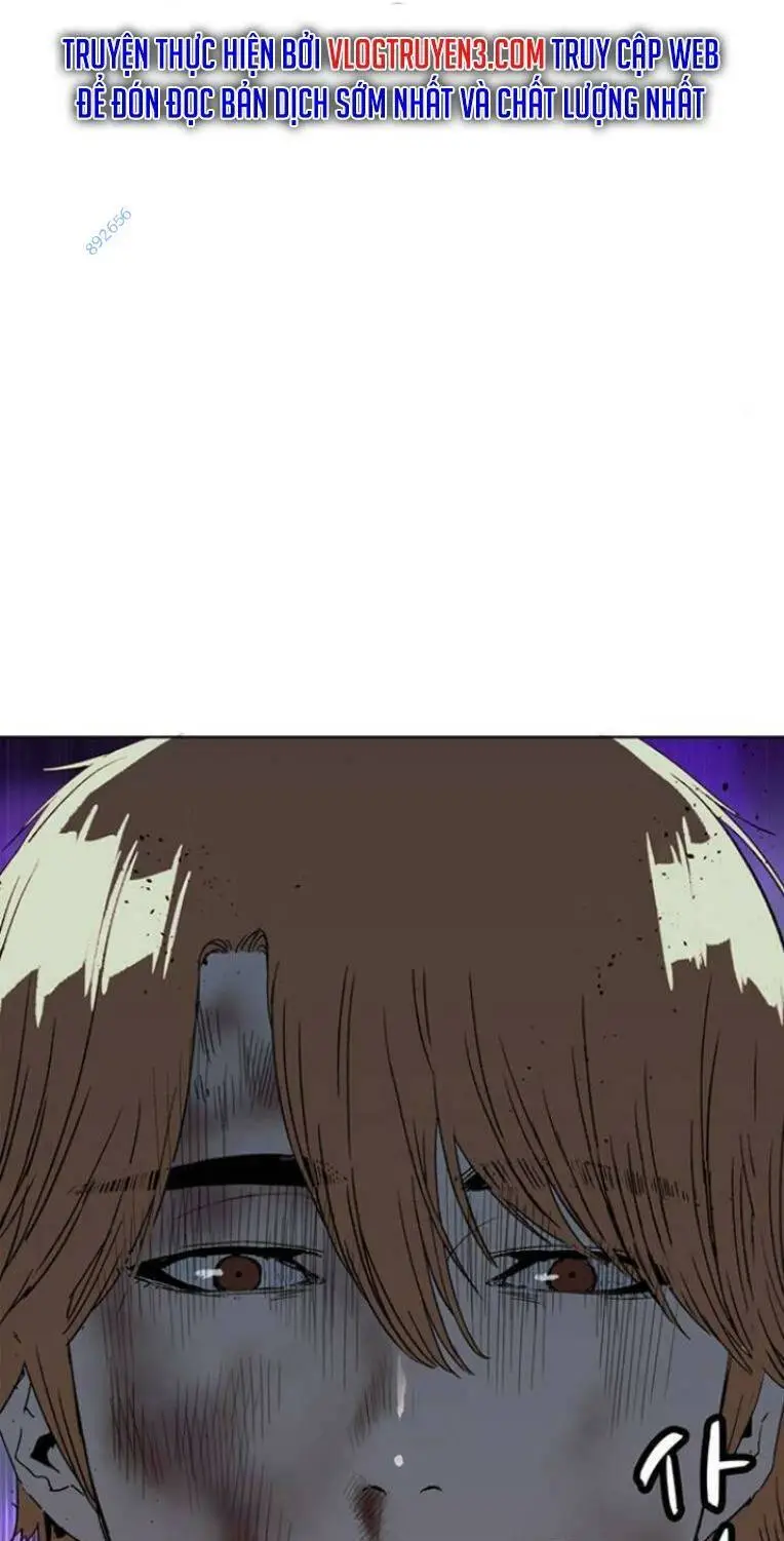 Chapter 243