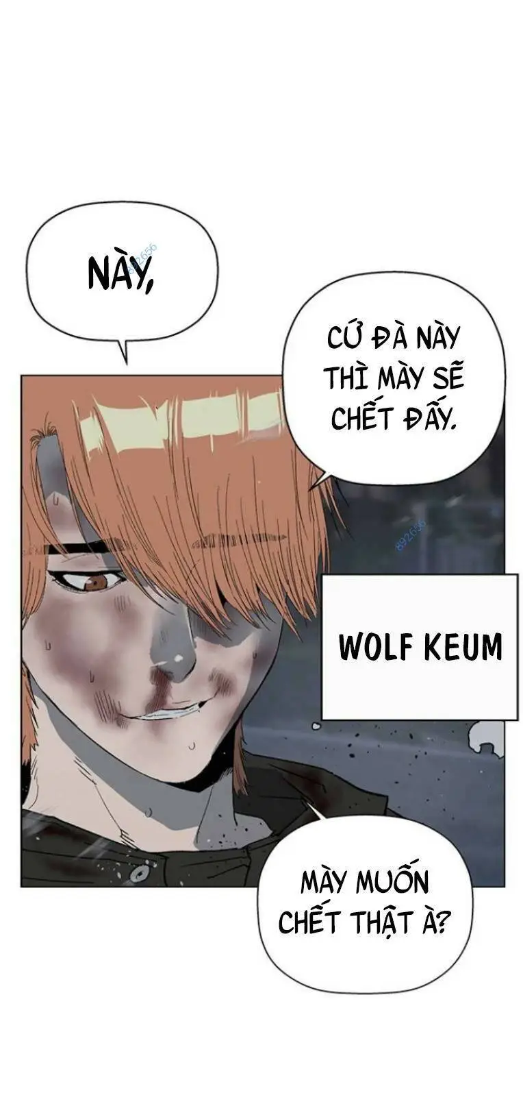 Chapter 243