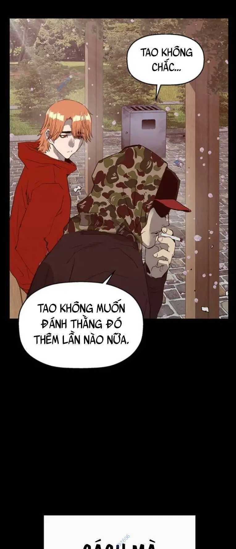 Chapter 243