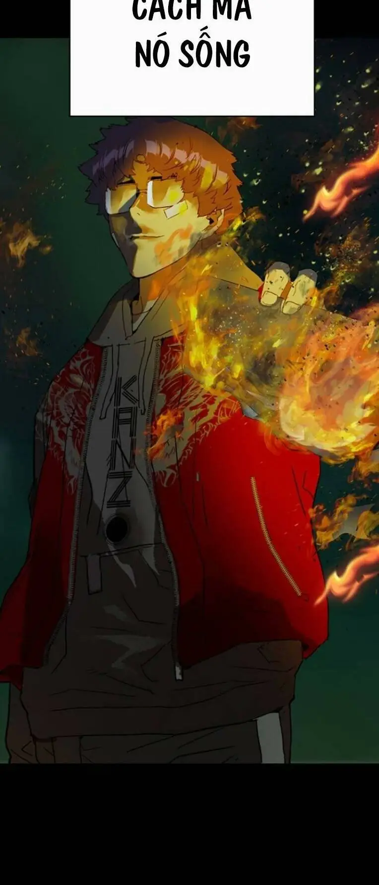 Chapter 243