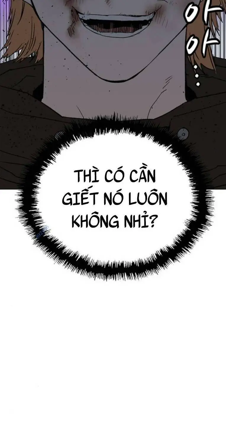 Chapter 243