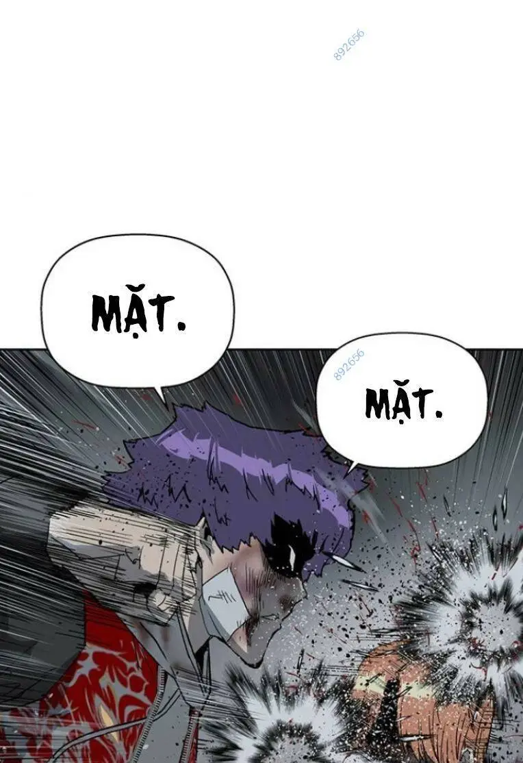 Chapter 243
