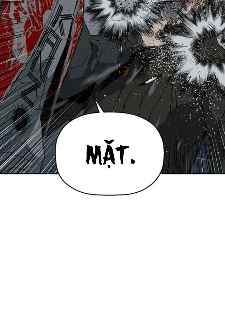 Chapter 243