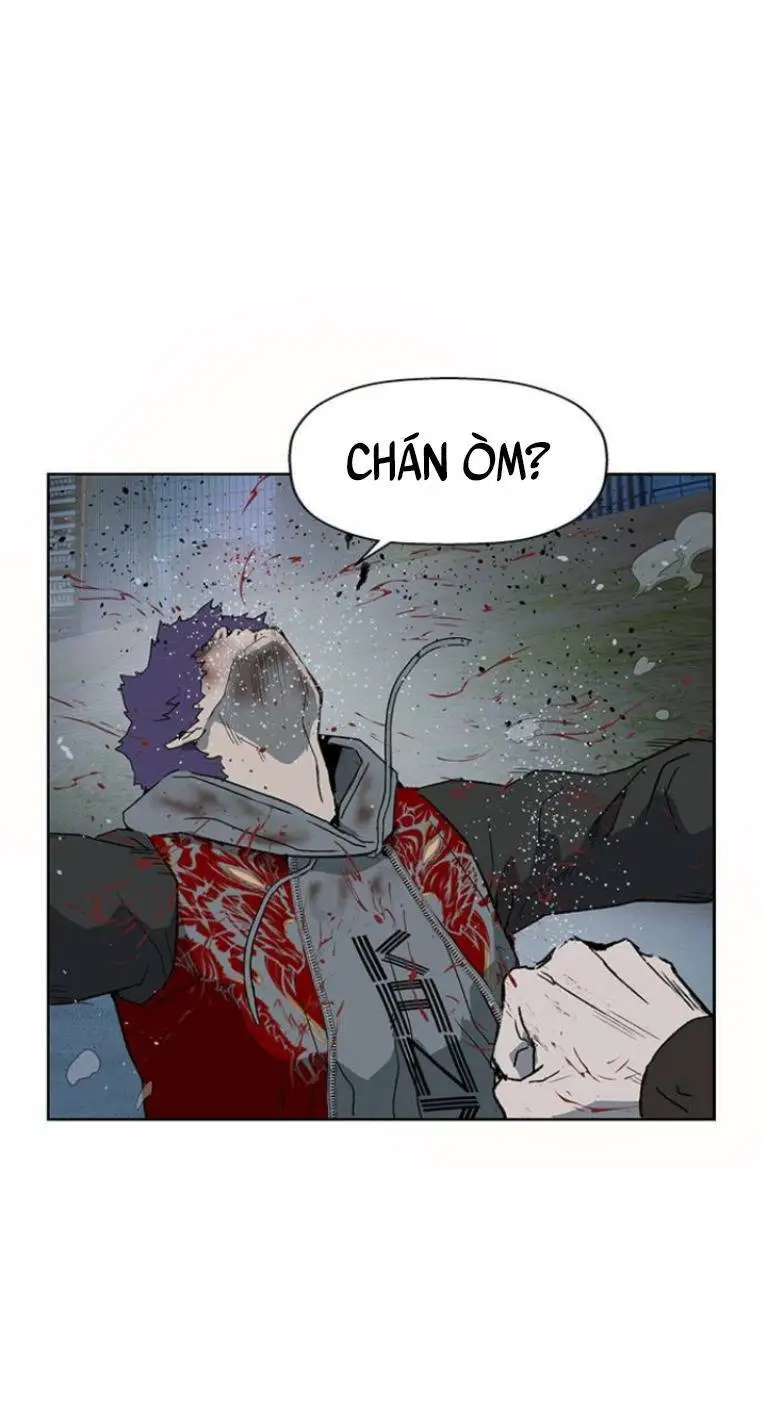 Chapter 243