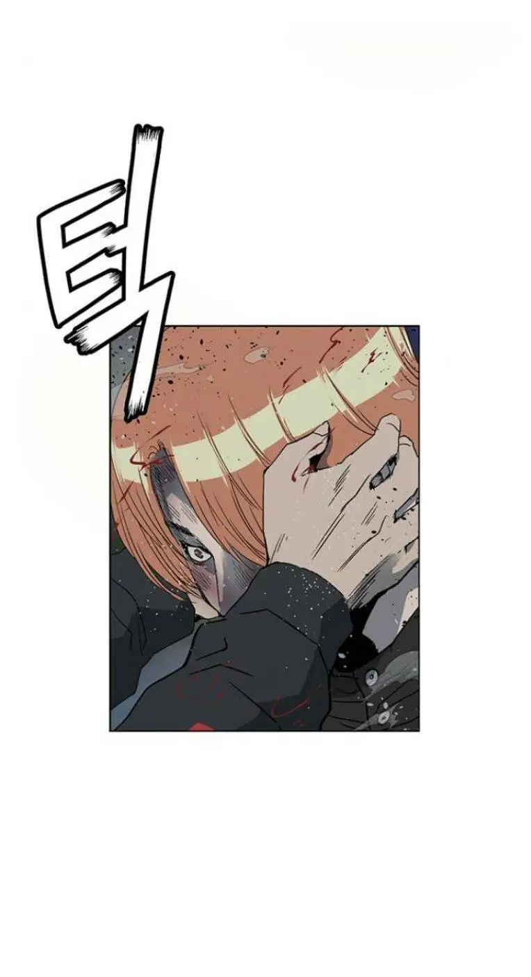 Chapter 243