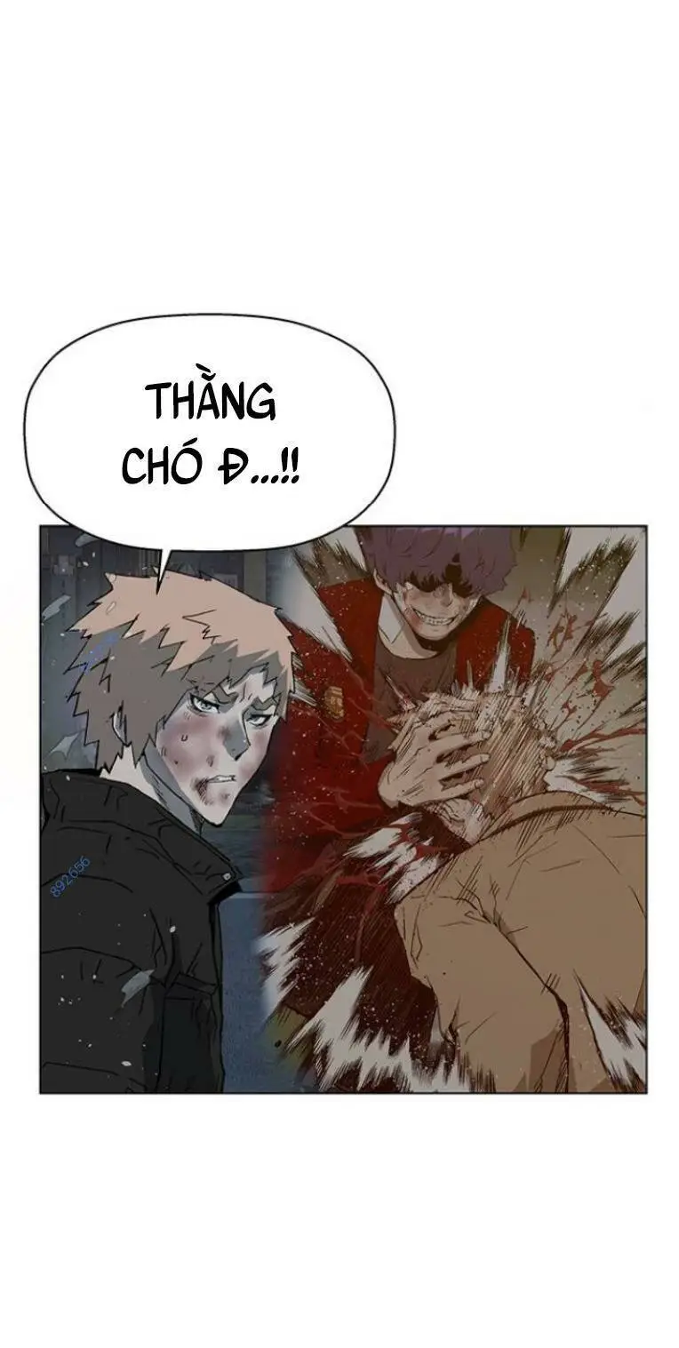 Chapter 243