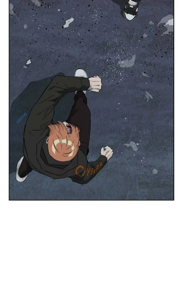 Chapter 243