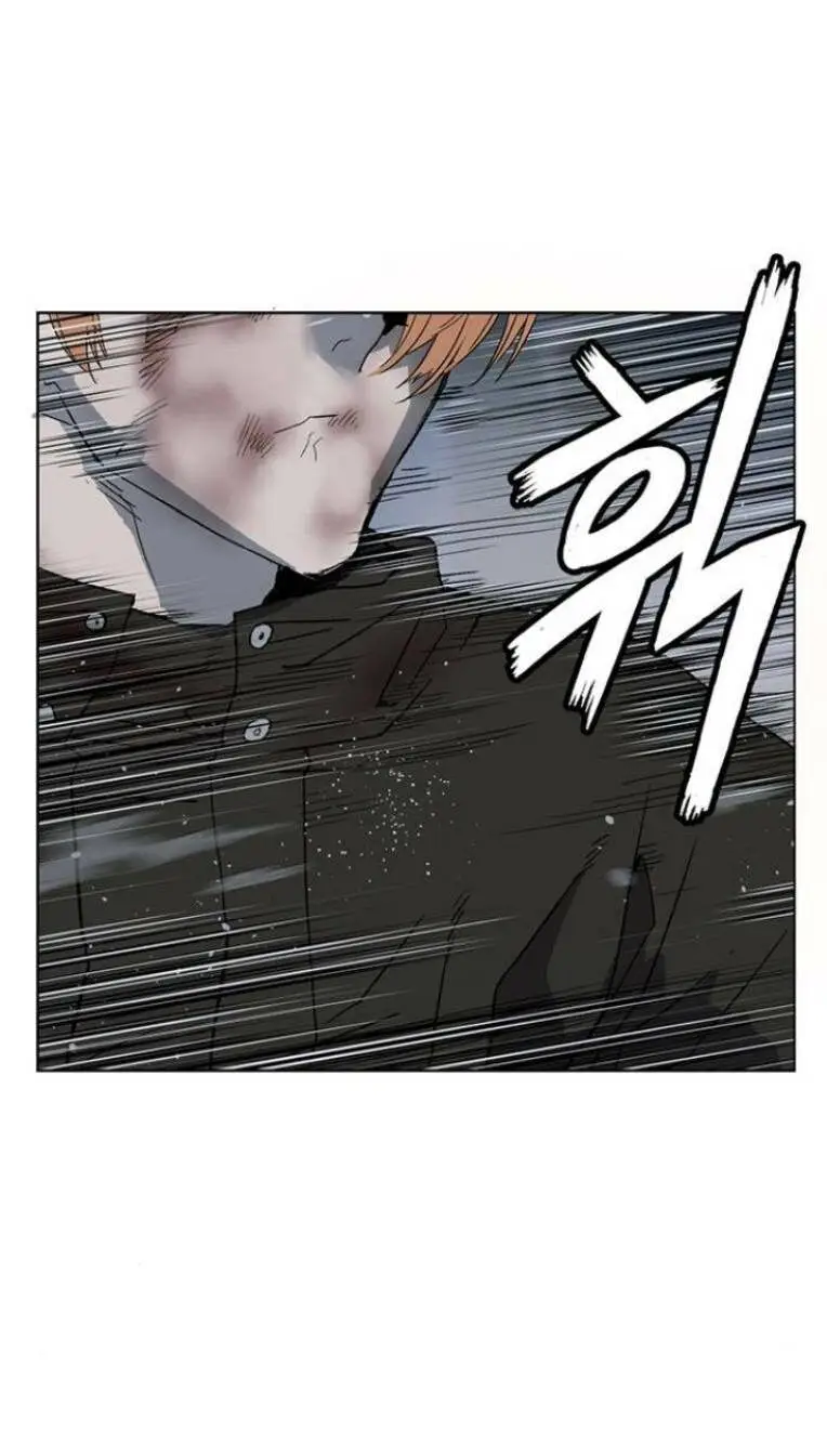 Chapter 243