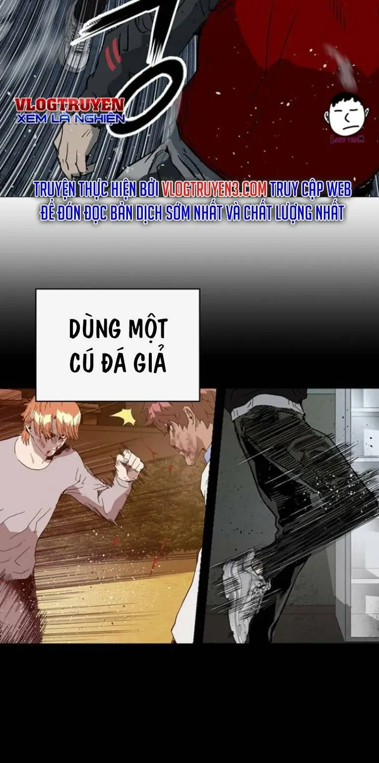 Chapter 243
