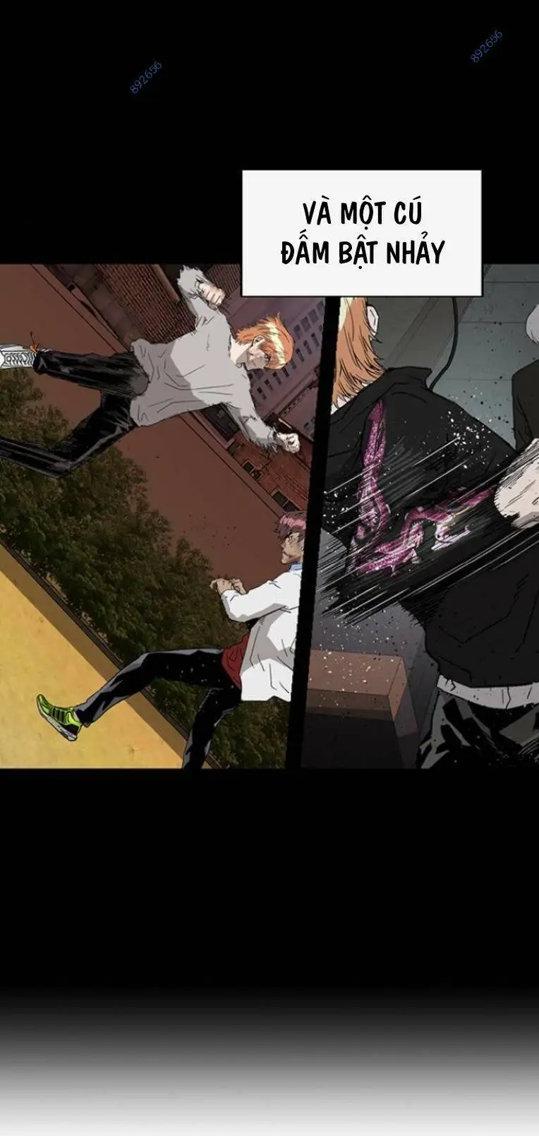 Chapter 243
