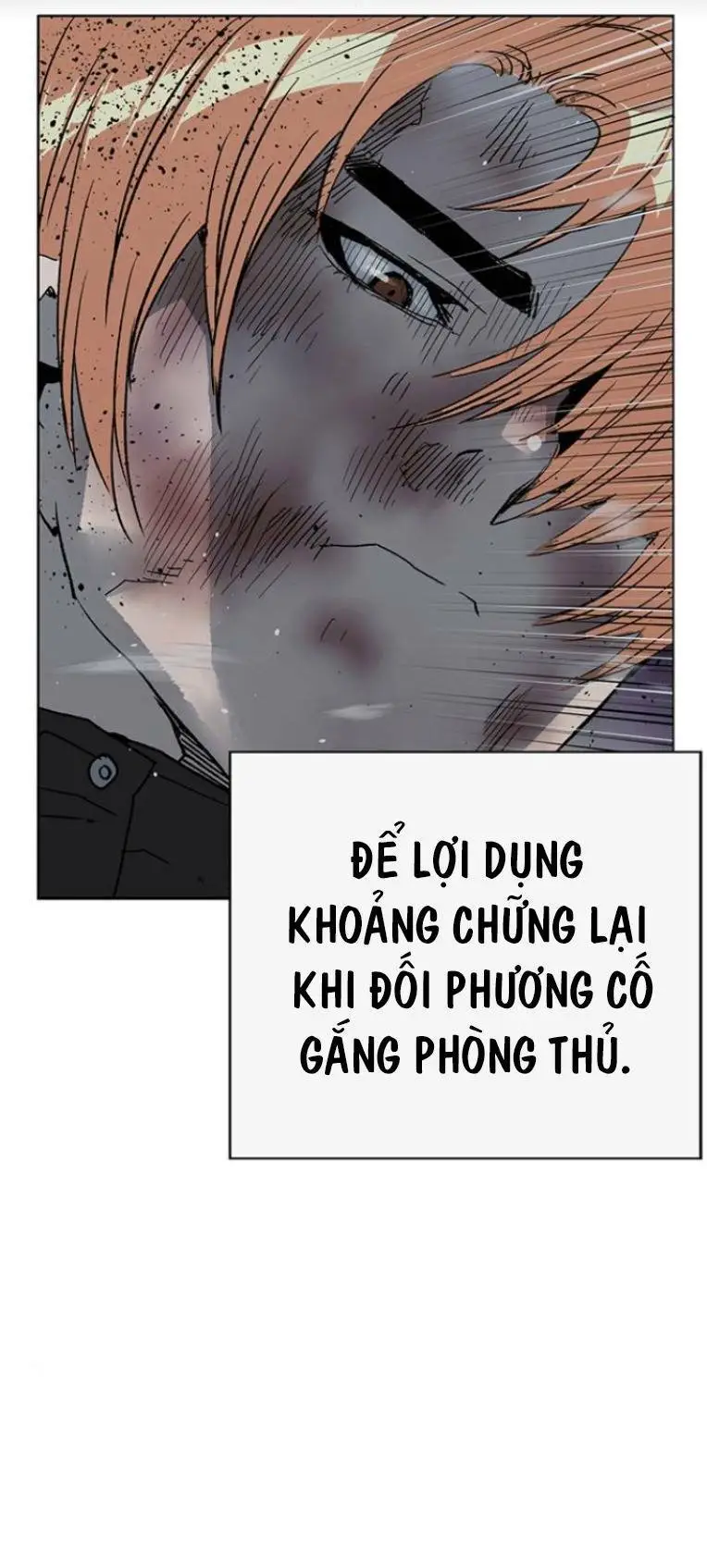Chapter 243