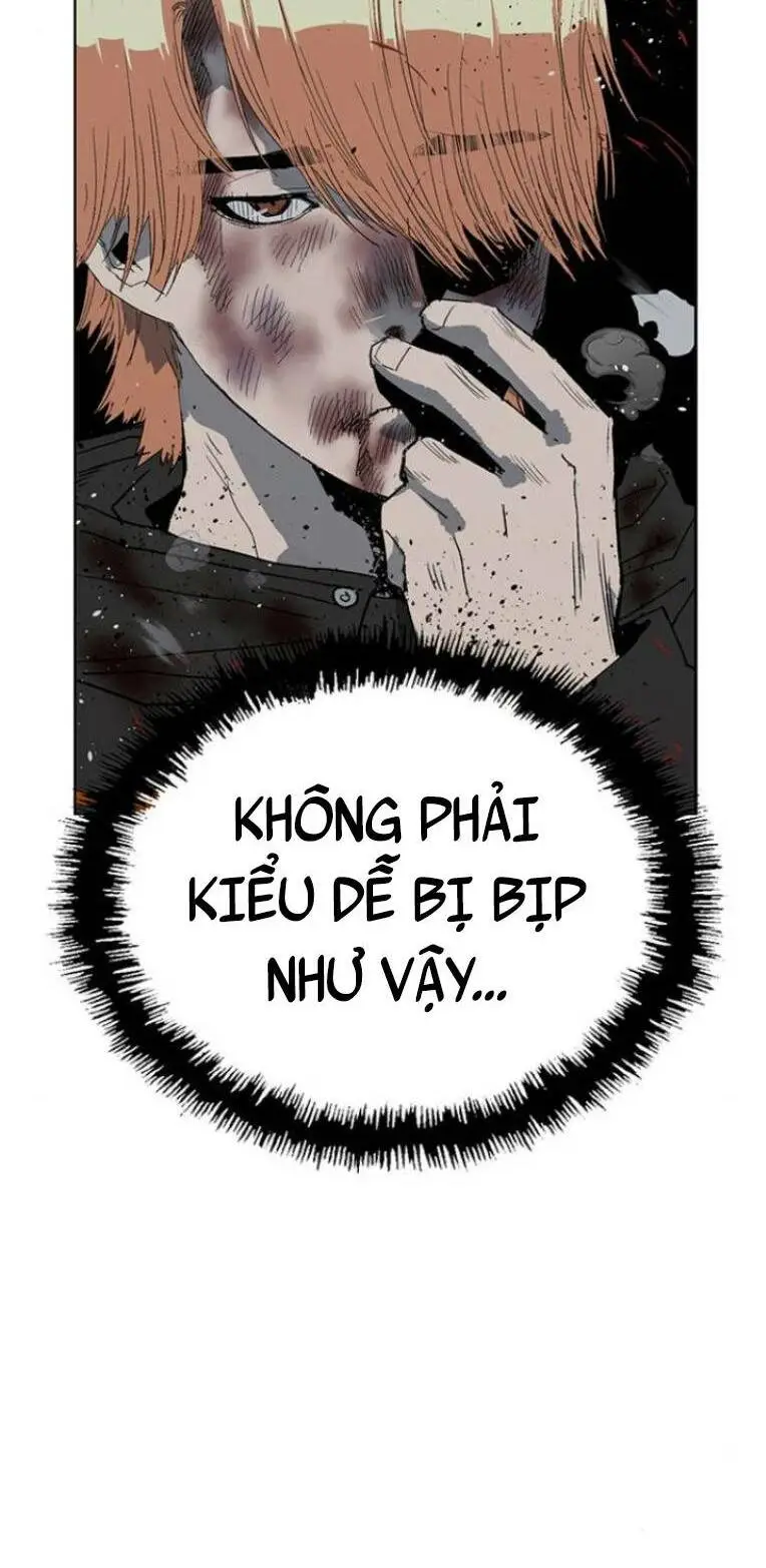 Chapter 243