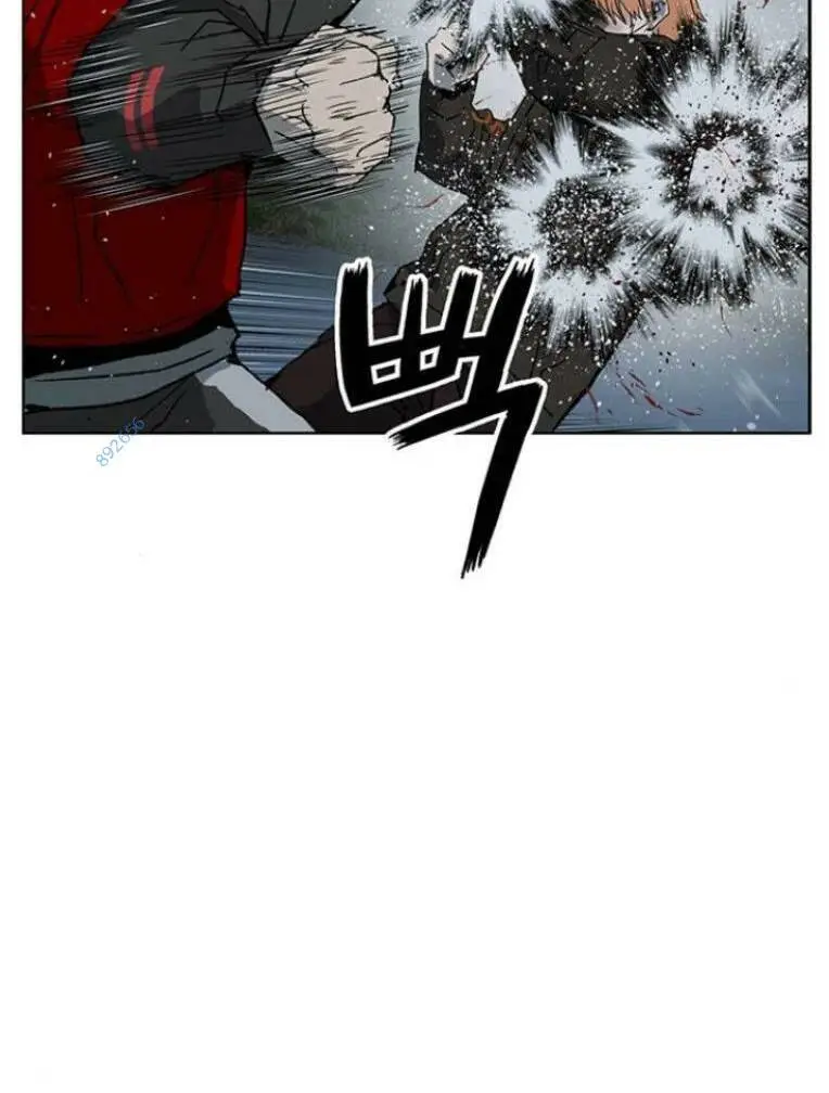 Chapter 243