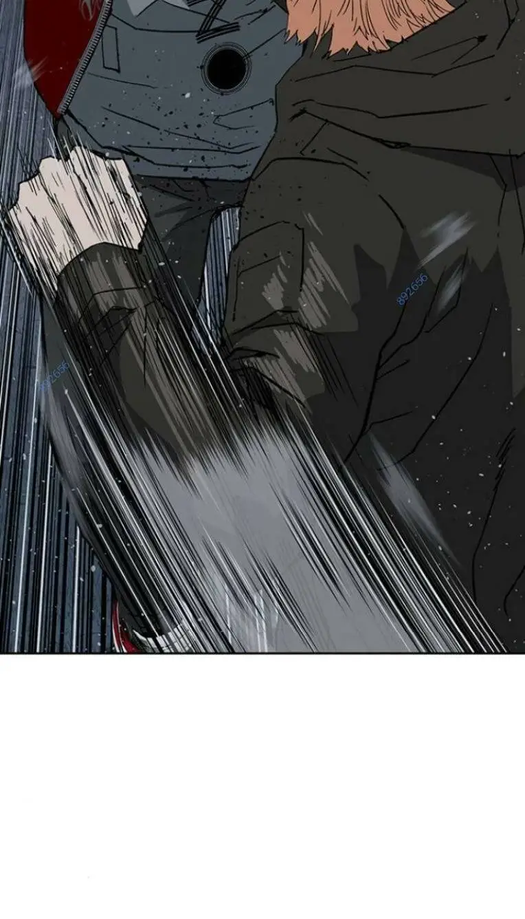 Chapter 243