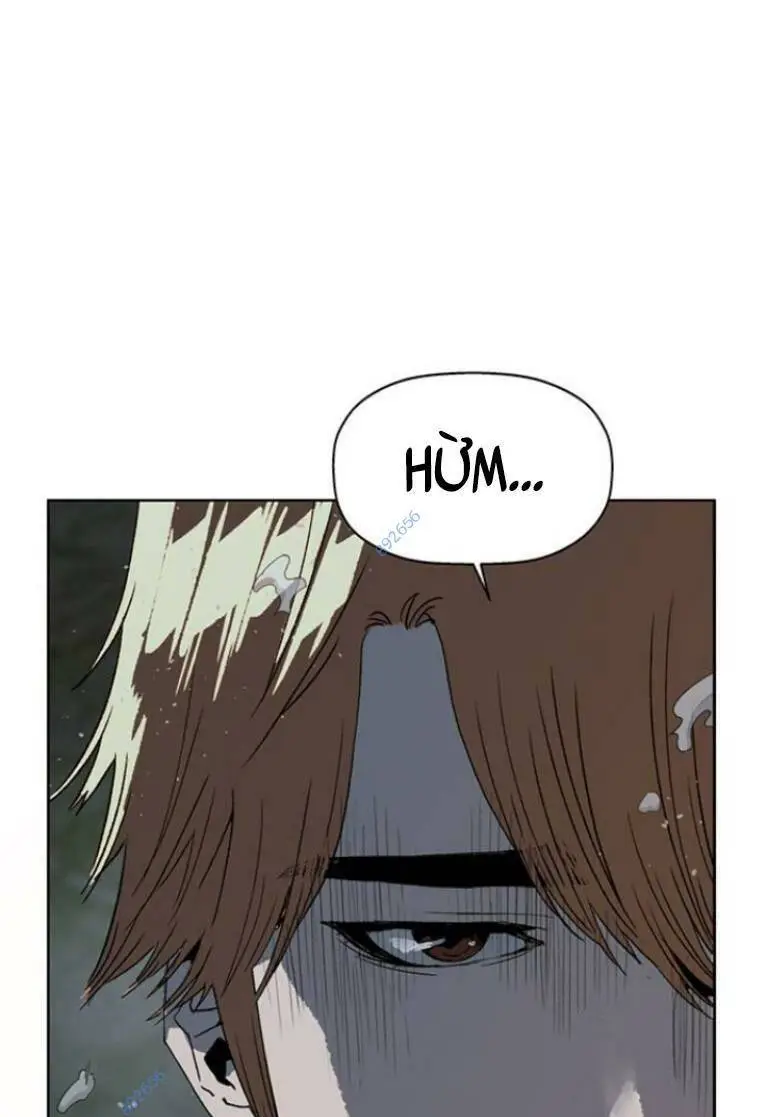 Chapter 242