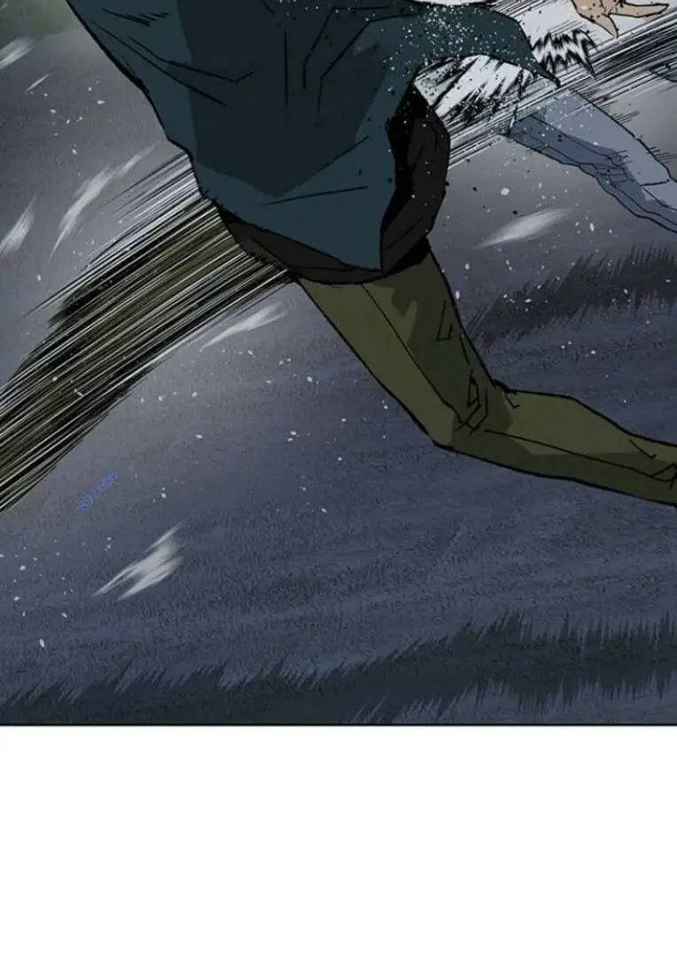 Chapter 242