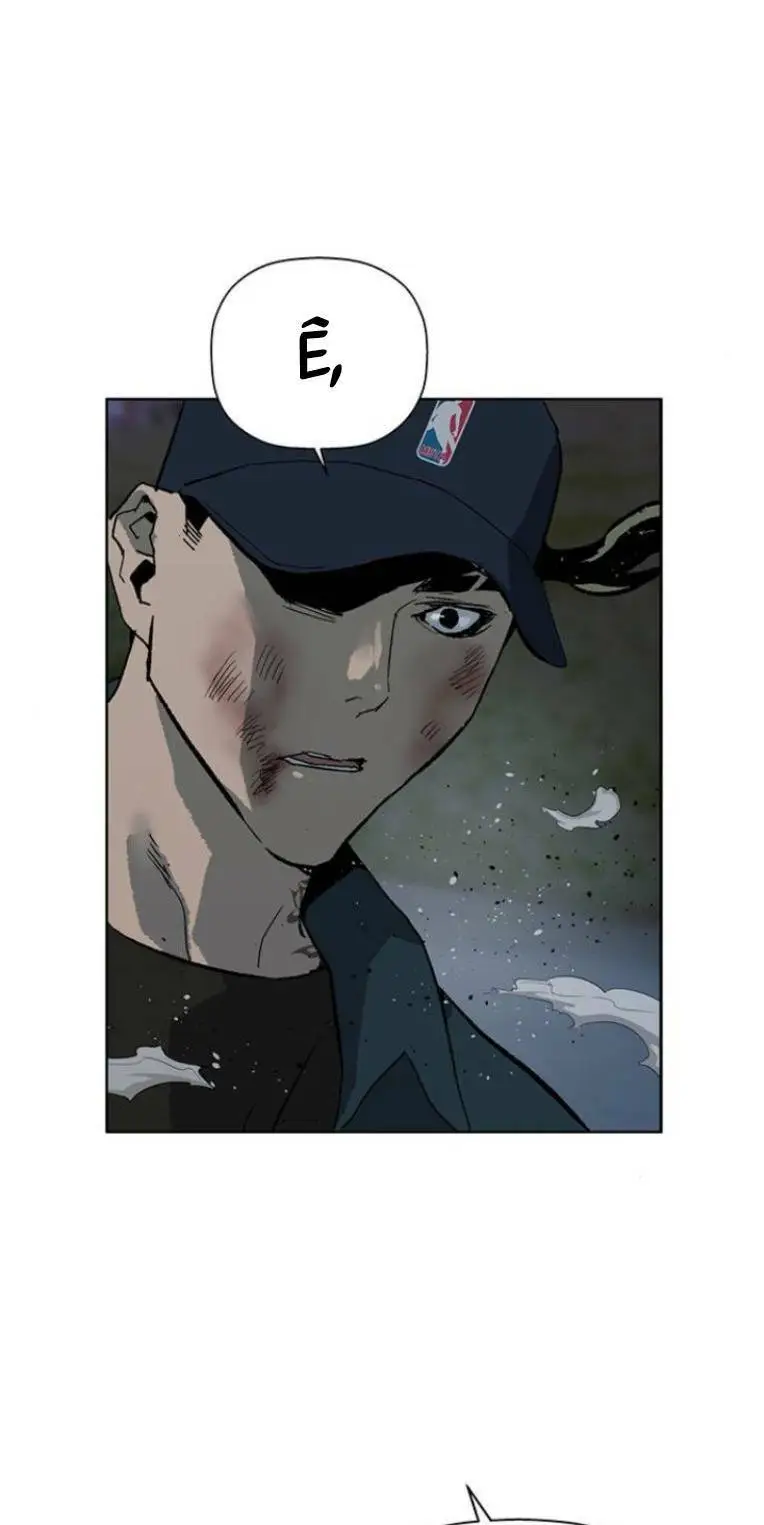 Chapter 242