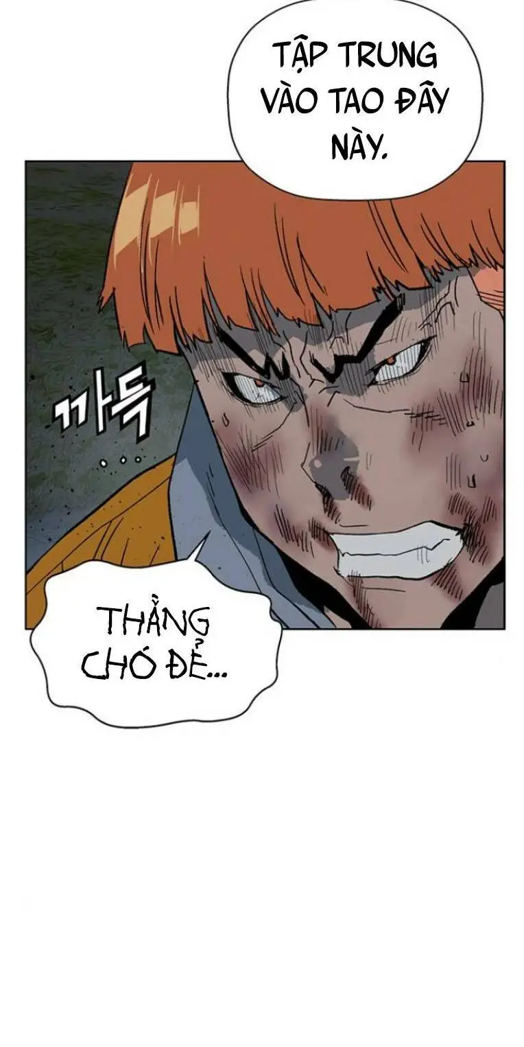Chapter 242