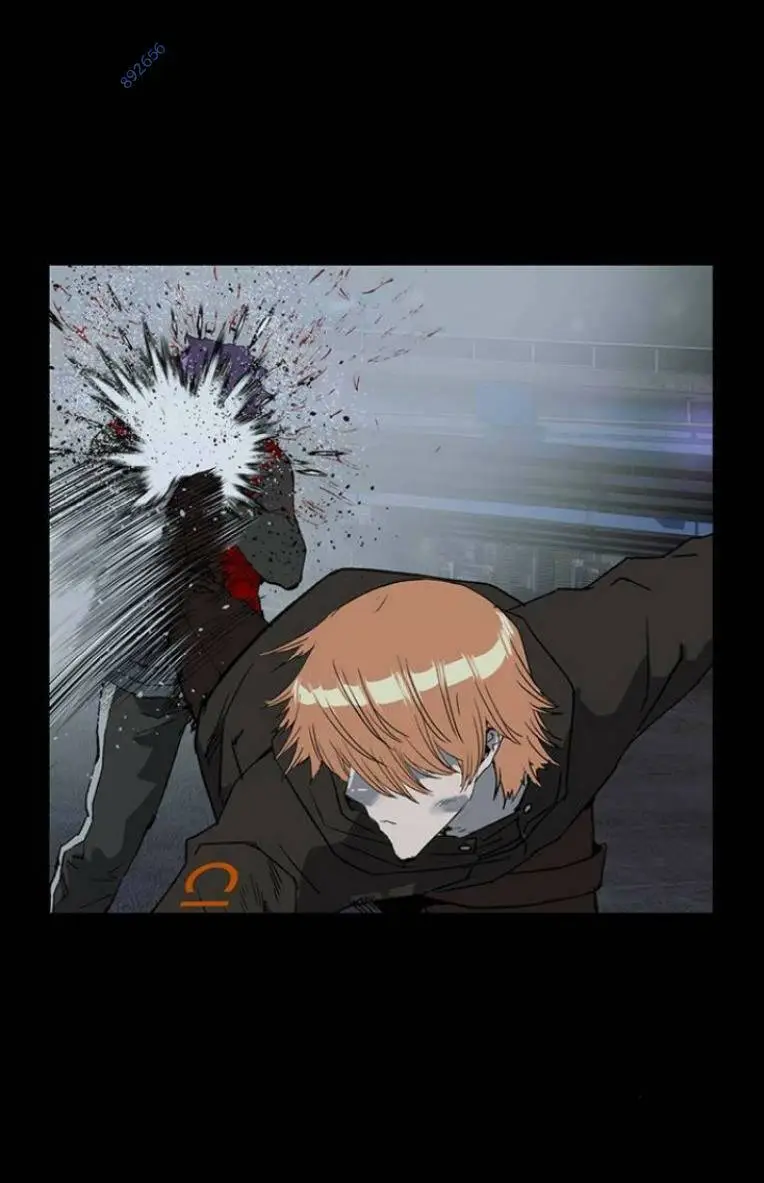 Chapter 242