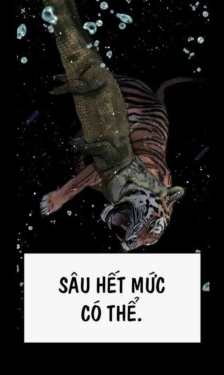 Chapter 242