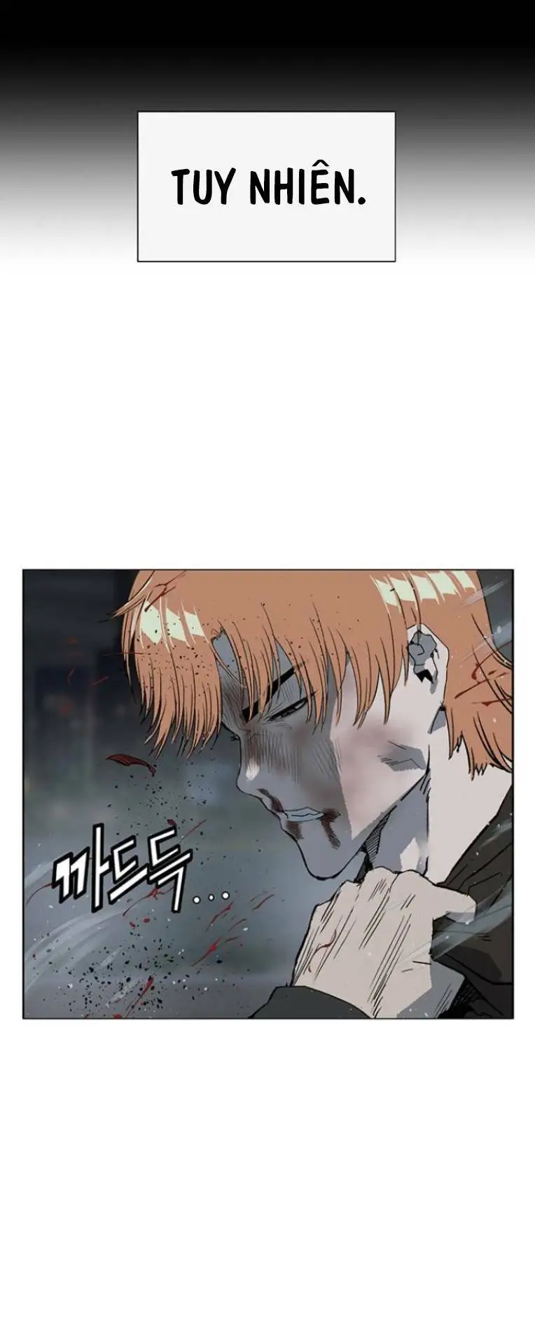 Chapter 242