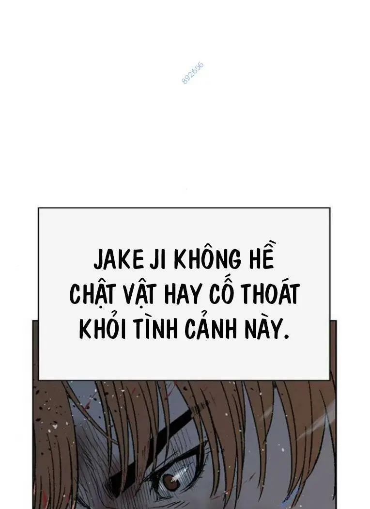 Chapter 242