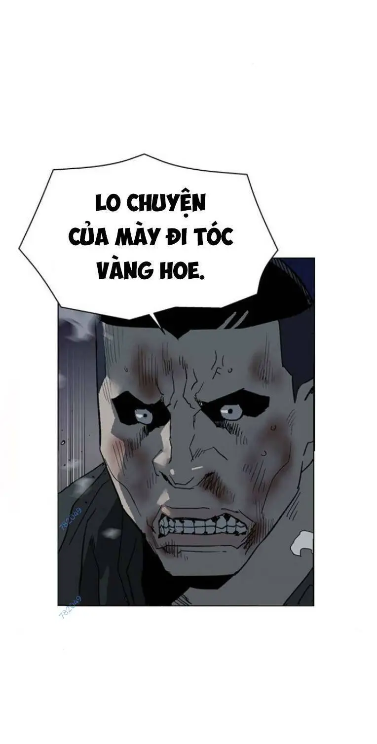 Chapter 241