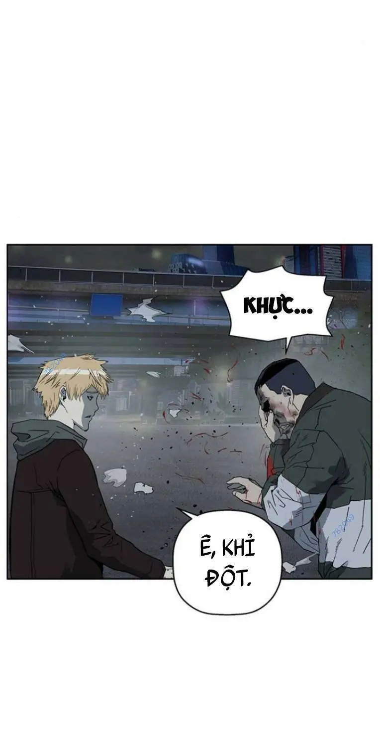 Chapter 241