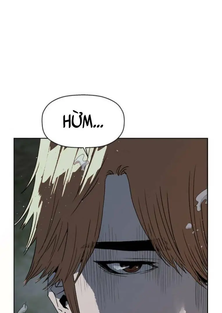 Chapter 241