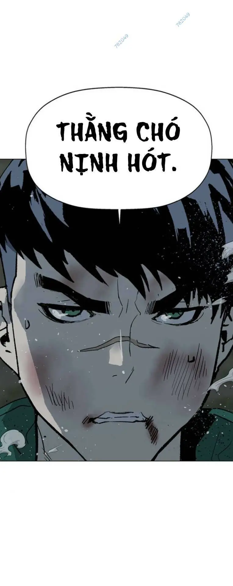 Chapter 241