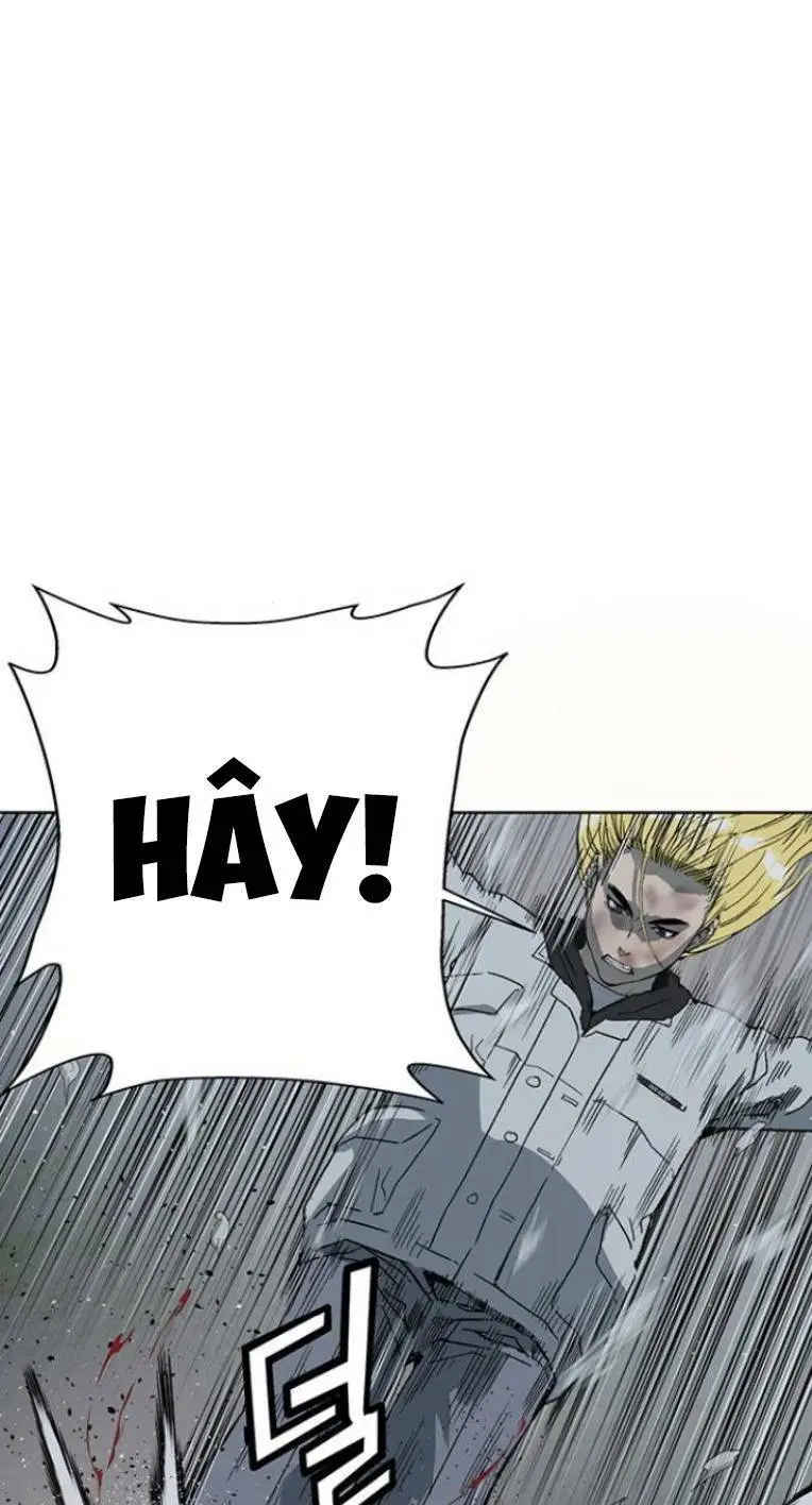 Chapter 240