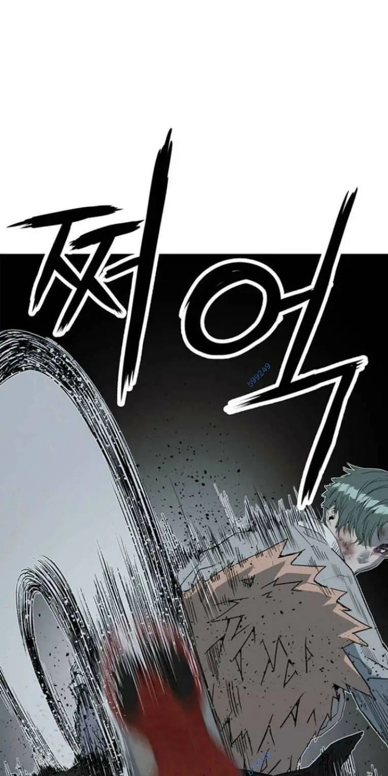 Chapter 239