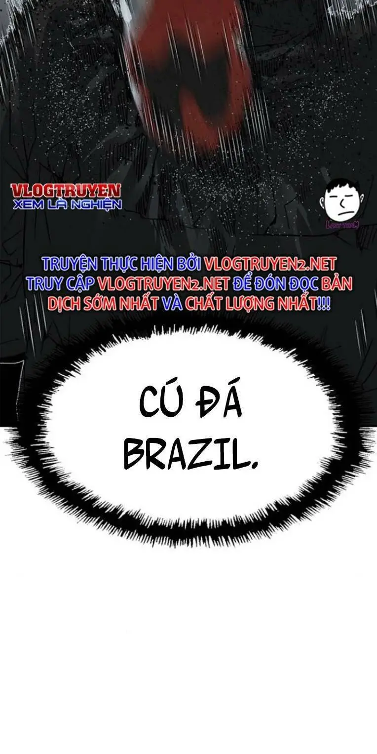 Chapter 239