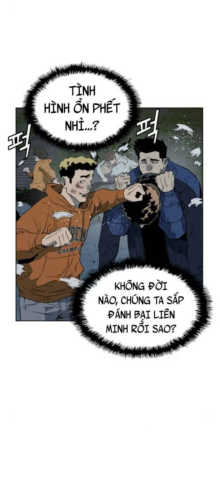 Chapter 239